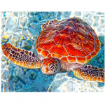 5D &bdquo;pasidaryk pats&ldquo; deimantinis siuvinėjimas Visi&scaron;kai apvalių jūros vėžlių ra&scaron;tai Deimantų tapyba Siuvinėjimas kryželiu 20X30CM