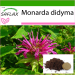 SAFLAX Bergamočių / Oswego arbata - 20 sėklų - Su vazoniniu substratu geresniam auginimui - Monarda didyma