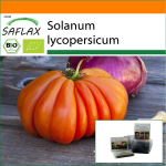 SAFLAX - Sodas mai&scaron;elyje - Ekologi&scaron;kas - Pomidoras - Jaučio &scaron;irdis - 10 sėklų - Su substratu tinkamame stovimame mai&scaron;elyje - Solanum lycopersicum
