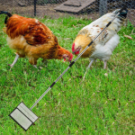 25cm Poultry Manure Pasture Cleaning Tool Versatile Lightweight Chicken Coop Mucking er