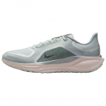 Nike Air Zoom Pegasus 41 GORE-TEX &Scaron;viesus Pumikas Vyri&scaron;ki Bėgimo Bateliai Ruda Spalva Grynas-Platinos Spalva Silt-Raudona FQ1356-007 42