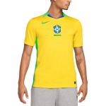 Nike Brazilija 2025 Stadium Namų (Moterų komanda) Vyri&scaron;ki Nike Dri-FIT futbolo replikos mar&scaron;kinėliai FZ9011-718 M
