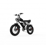 Ridstar Q20 PRO YVY 1000W 48V 20AH elektrinio dviračio baterijos konstrukcija tvirta, ES krovininis skyrius, greitas pristatymas 1000W 48V 20AH juoda