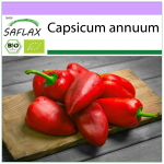 SAFLAX &ndash; Ekologi&scaron;kas &ndash; Aitriosios čili pipirai &ndash; Barak &ndash; 15 sėklų &ndash; Capsicum annuum