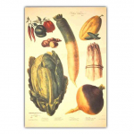 &Scaron;iaurės &scaron;alių retro meno augalų drobės tapyba įvairios daržovės plakatai svetainė virtuvė koridorius namų dekoravimas freskos Be rėmo 21*30cm No Frame