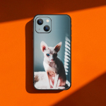 Sphyns Sphinx Fashion Cat telefono dėklas, skirtas iPhone Samsung Galaxy Redmi Xiaomi Oppo OnePlus Note SA 7 8 9 10 11 12 13 14 20 21 22 23 53 54 Pro Ultra iPhone 6 or 6S