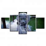 5 vienetai gyvūnai, mielos katės peizažo paveikslai, moduliniai paveikslėliai, drobė, modernus sienų dekoras svetainei HD spausdinimo meno kūriniai rėmelis be rėmelio 20x35cm*2 20x45cm*2 20x55cm*1