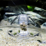 6/8 cm Akvariumo Žuvų Augalų Bakas Plastikinis Skaidrus Sraigių Gaudyklė Gaudo Augalus Planarinį Kenkėją Gaudymo Dėžutė Aplinkos Valymo Įrankis 6 CM