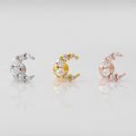 Kubinis smeigtukas 1 i&scaron; 3 Chirurginis auskaras Aurora Moon Rose gold one side