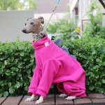 Žieminiai &scaron;ilti poliarinio vilnos &scaron;unų drabužiai Dinazauro formos &scaron;uns &scaron;iltas kombinezonas Whippet Greyhound Augintinis Keturių kojų paltas (as the picture,S)