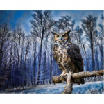 Forest Eagle Diamond Siuvinėjimas pelėda Full Resin Deimantinis paveikslėlis Deimantinis paveikslas 20X30CM