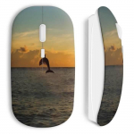 Souris Sans Fil Dauphin ocean