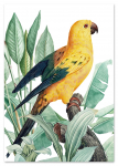 Plakat papuga złota rośliny egzotyczne 21x29,7 cm A4