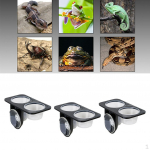 3xReptile food Feeding Bowl Feeder with Suction Cup Double Lattice