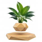 Levituojantis oras Bonsai Vazonų rotacija Gėlių vazonų sodintuvai Magnetinė pakaba Plaukiojantis vazonas Vazoninis augalas Namas be augalų