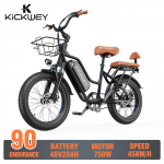 KICKWEY LD20 Elektrinis dviratis 750W variklis 48V20AH baterija Dvigubi diskiniai stabdžiai Priekinė pakabos &scaron;akė Elektrinis dviratis 20 colių padanga Elektrinis dviratis kasdieniam važiavimui LD20-750W-48V-20Ah