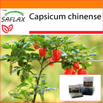 SAFLAX - Sodas mai&scaron;elyje - Čili - Habanero Antilles Red - 10 sėklų - Su substratu tinkamame stovimame mai&scaron;elyje - Capsicum chinense