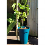 Bac &agrave; fleurs RIVIERA SOLEILLA - Plastique - Hauteur 53 cm - Bleu mėlyna
