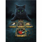 Pilnas 5D &bdquo;pasidaryk pats&ldquo; deimantinis pie&scaron;imas juodos katės &bdquo;Tarot&ldquo; deimantinis siuvinėjimas Visi&scaron;kai klojamas kryželiu namų dekoras, rankų darbo dovana 20x30cm