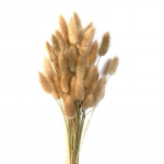 50 vnt. Nature Bunny Rabbit Tail Žolės džiovintų gėlių puok&scaron;tė Vestuvių vakarėlio dekoras Pūkuotas pampas kalėdinis pasidaryk pats gėlių kompozicija A8