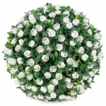1vnt plastikinis gėlių rutulys Dirbtinių gėlių rutulys 20 cm augalų rutulys su dekoratyviniais eukalipto kamuoliukais kiemo balkono sodo vestuvėms ir namų dekoravimui balta