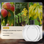 I&scaron;manusis aromaterapinis aparatas oro gaiviklis valytuvas automatinis pur&scaron;kiklis eterinių aliejų kvepalų difuzorius Svetainės tualeto dezodoratorius