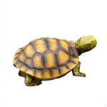 Decorative Turtle Statue in Resin, Fake Tortoise Figure for Pool and Lawn Style A