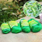 Pauk&scaron;čių tinklelio tinklelio apsauginis tinklas, skirtas tvenkinio vaismedžių daržovių balkono sultingų augalų apsaugai Single strand-2 * 5m