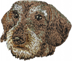 Dachshund Wire-haired, Wiener dog, Badger dog - dog-shaped patch, embroidered patch, unique decoration for Art-Dog backpack įvairiaspalvė spalva
