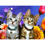 5D Deimantų pie&scaron;imas Katės Visi&scaron;kai Apvalus Kalnų kri&scaron;tolas Gyvūnai Deimantinis Siuvinėjimas Siuvinėjimas kryželiu 20X30CM