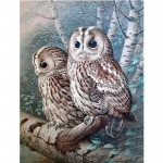 Pilnas 5D &bdquo;pasidaryk pats&ldquo; deimantinis pie&scaron;imas gyvūnų pelėda mozaikos siuvinėjimas kryželiu namų dekoras, rankų darbo dovana 25x30cm