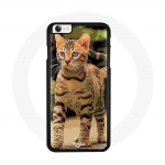 Coque pour Iphone 5/5S - SE Chat chaton Bengal beige