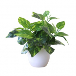 &Scaron;viežios dirbtinės lapijos augalų vazonas Bonsai Party Mall Home Desktop Office Decor 2