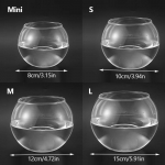 8/10/12/15 cm Paprasta apvali stiklinė akvatorė apvali rutulinė vaza Skaidri hidroponinė vaza 8cm