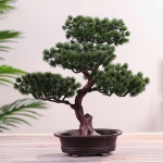 Imitacija Tikrovi&scaron;kas Pasidaryk pats Paprastas Vazoninis Augalas Ornamentas Pu&scaron;is Dekoratyvinis Bonsai 30*29cm