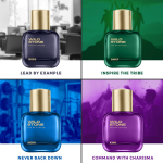Wild Stone Kvepalų Rinkinys Vyrams 4x30ml &ndash; Herojus | Karalius | Vadovas | Vir&scaron;ininkas | Auk&scaron;čiausios kokybės priežiūros ir gyvenimo būdo dovanų rinkinys | Ideali dovana ypatingoms progoms 120 ML