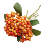 5 vnt. Ne&scaron;iojamos dirbtinės gėlės, ilgai i&scaron;liekančios kūrybinės &bdquo;pasidaryk pats&ldquo; vestuvinės puok&scaron;tės, vakarėlio namų dekoras, netikras