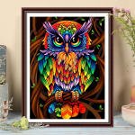 5D Pasidaryk pats deimantinė tapyba Spalvota pelėda Kryželiu rinkinys Pilnas deimantų siuvinėjimas Mozaikos menas Nuotrauka i&scaron; cirkonio dekoras Dovana Full Round 30x40cm