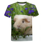 Gyvūnų mielas jūrų kiaulytės ra&scaron;tas Vyri&scaron;ki moteri&scaron;ki vaiki&scaron;ki 3D spausdinimo mar&scaron;kinėliai Nauji vasaros mados kvėpuojantys lengvi sportiniai mar&scaron;kinėliai mar&scaron;kinėliai XXS