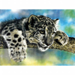 5D &bdquo;pasidaryk pats&ldquo; deimantų tapyba Leopardo siuvinėjimo mozaikos kryžminio dygsnio kalnų kri&scaron;tolinio akmens dekoracija 20X30CM