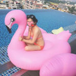 Vasaros baseino pripučiamas čiužinys flamingas Lauko vandens žaidimų sportas Pripučiamas gultas su rankena Plaukiojanti lova