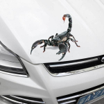 Stilingas Puikus &scaron;aunus voras 3D automobilių lipdukai Animacinių filmų kūrybi&scaron;kos asmenybės dekoravimo lipdukai A juoda