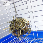 Nerūdijančio plieno apvalus sferinis pa&scaron;arų dozavimo pratimas pakabinamas &scaron;ieno rutulys jūrų kiaulytės žiurkėno triu&scaron;io augintinio žaislas 1pcs