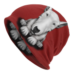 Anglų bulterjeras Skullies Beanies Moteri&scaron;kos Unisex Žiemos &Scaron;ilta Slouchy Beanie Skrybėlė Gyvūnas Naminis &Scaron;uniukas Mezgimas Slidinėjimo kepuraitė One Size