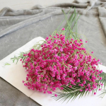 Dirbtinių gipsofilų puok&scaron;tė Balta/tamsiai violetinė/&scaron;viesiai violetinė/rožinė/rožinė raudona/mėlyna Netikros gėlės Namų dekoras Vakarėlio dekoras Vestuvės rožinė raudona spalva