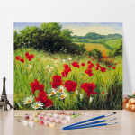 Menas &bdquo;Pasidaryk pats&ldquo; Tapyba pagal skaičius Deimantinė tapyba Namų dekoras Skaičiai Tapyba Pomėgiai Aliejinė tapyba Skaitmeninė aliejinė tapyba 40x50cm no frame