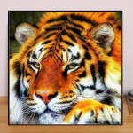 Animal DIY 5D Deimantinis paveikslas Mighty Tiger Deimantinis Siuvinėjimas Visi&scaron;kai Anime Siuvinėjimo kryželiu rinkiniai Namų dekoras Rankų darbo dovana Round 25x25cm