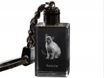 Burma Cat - Crystal pendant with cat photo, illuminated pendant, unique gift by Art-Dog brand