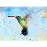 5D &bdquo;pasidaryk pats&ldquo; deimantinis paveikslas &bdquo;Spalvotas kolibris&ldquo; 3D Kalnų kri&scaron;tolinis siuvinėjimas kryželiu 20X30CM