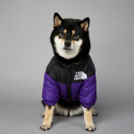 &Scaron;uns veidas Žieminis naminis &scaron;unelis Medvilninė striukė Drabužiai &Scaron;ilti, storai susiuvami augintinio paltai Teddy Chihuahua &scaron;uniuko liemenė mažiems vidutiniams &scaron;unims M violetinė